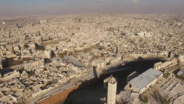 Районы вокруг цитадели в Алеппо после освобождения от боевиков. Съемка с дрона - Sputnik Беларусь