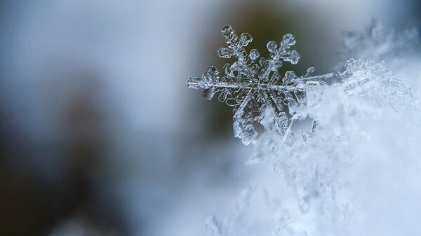 Снежинка, архивное фото - Sputnik Беларусь