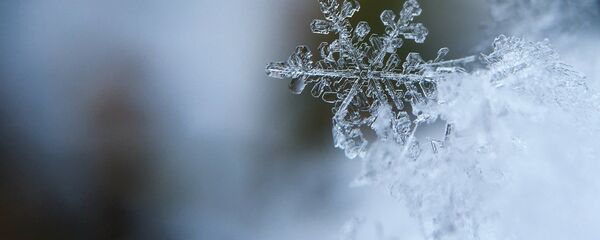 Снежинка - Sputnik Беларусь