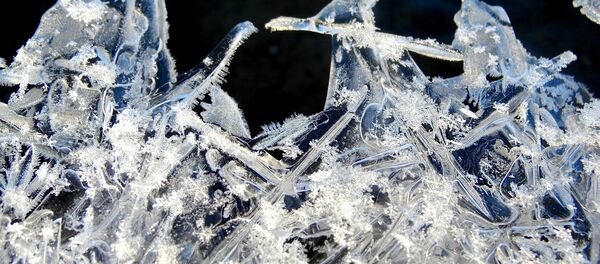 Марозныя ўзоры - Sputnik Беларусь
