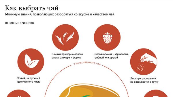 Инфографика на sputnik.by: Как выбрать чай - Sputnik Беларусь