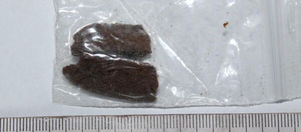 Наркотики, найденные в автобусе - Sputnik Беларусь