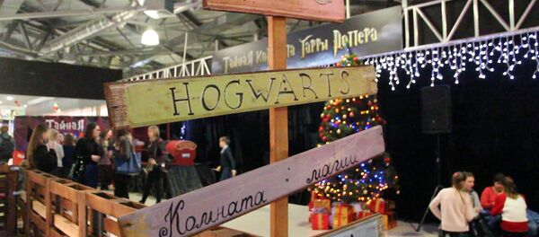 Хижина Хагрида из печенья и глазированный Нюхль - Sputnik Беларусь