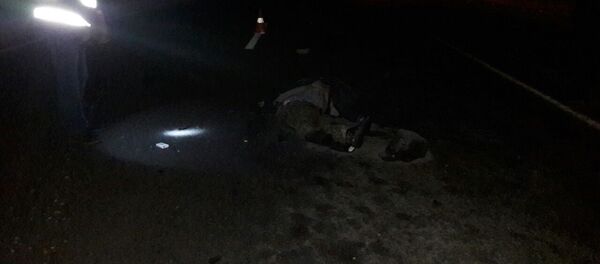 ДТП под Минском - Sputnik Беларусь