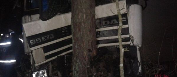 Фура врезалась в дерево - Sputnik Беларусь