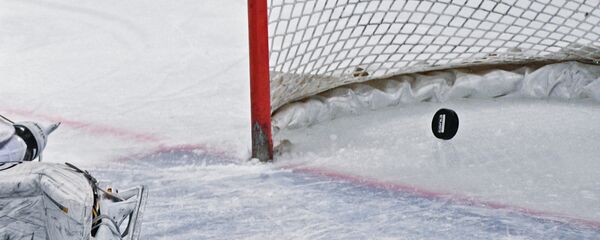 Коньки и шайба - Sputnik Беларусь