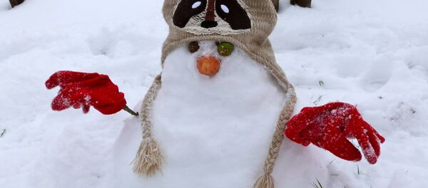 Снегавік Снегавік - Sputnik Беларусь