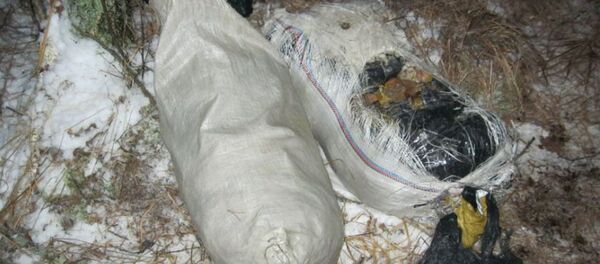 Янтарь в мешках - Sputnik Беларусь