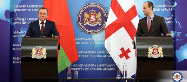 Владимир Макей и Михеил Джанелидзе - Sputnik Беларусь