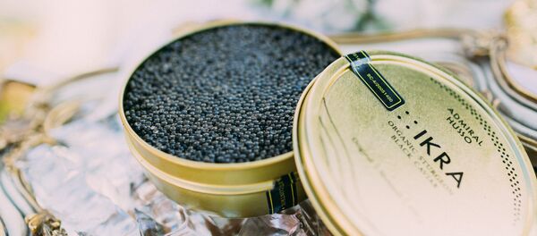 Черная икра производства Беларуси - Sputnik Беларусь