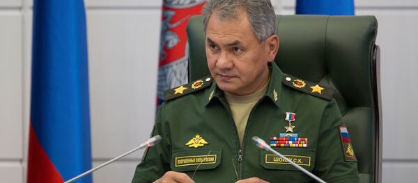 Министр обороны РФ Сергей Шойгу Министр обороны РФ Сергей Шойгу - Sputnik Беларусь