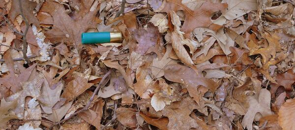 Стреляная гильза - Sputnik Беларусь