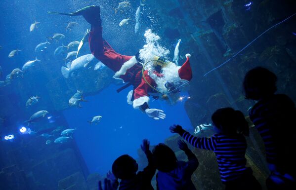 Санта-Клаус - дайвер плавает среди рыб в аквариум Парижа - Sputnik Беларусь