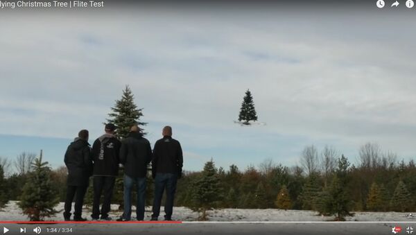 Видеофакт: летающая новогодняя елка появилась в США - Sputnik Беларусь