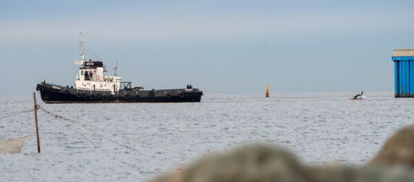 Поисковые работы в акватории Черного моря в районе крушения самолета ТУ-154 - Sputnik Беларусь