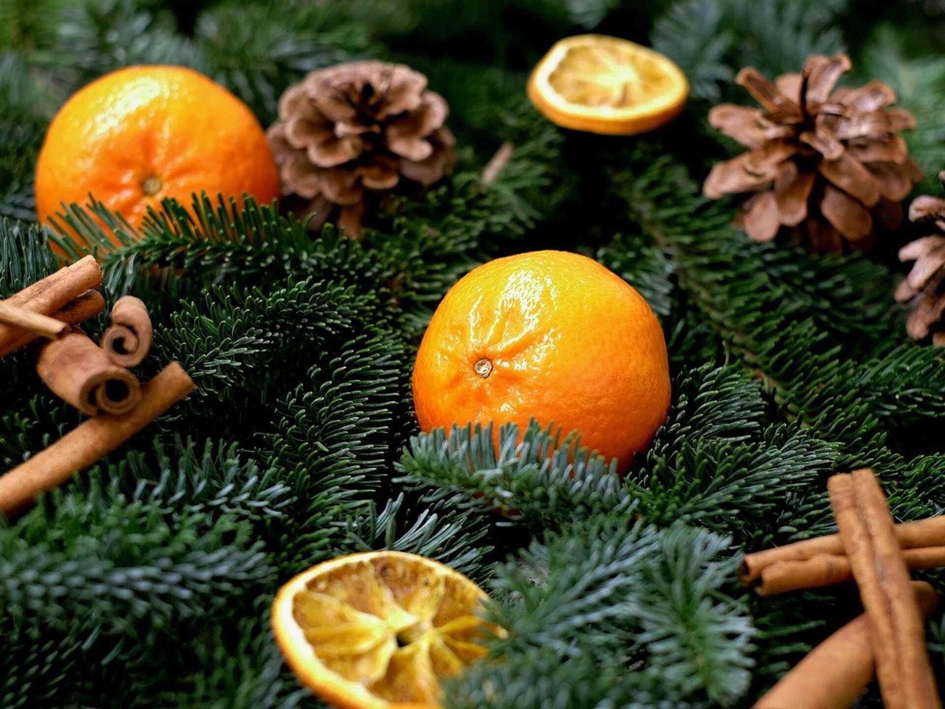 Праздничные мандарины. Мандарины новый год. Мандарины и елка. Мандарины на новогоднем столе. Апельсины новый год.