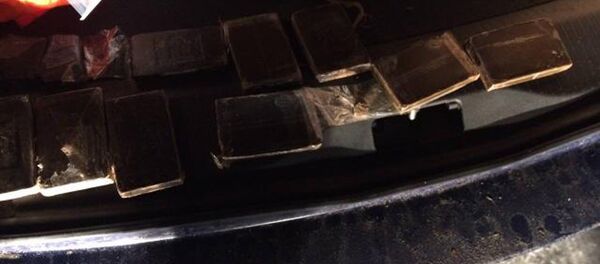 Изъятый у борисовчанина гашиш - Sputnik Беларусь