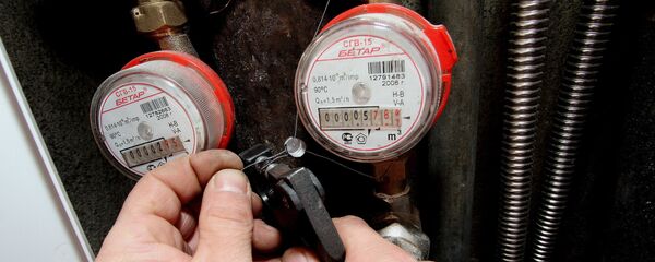 Счетчик расхода потребления воды - Sputnik Беларусь