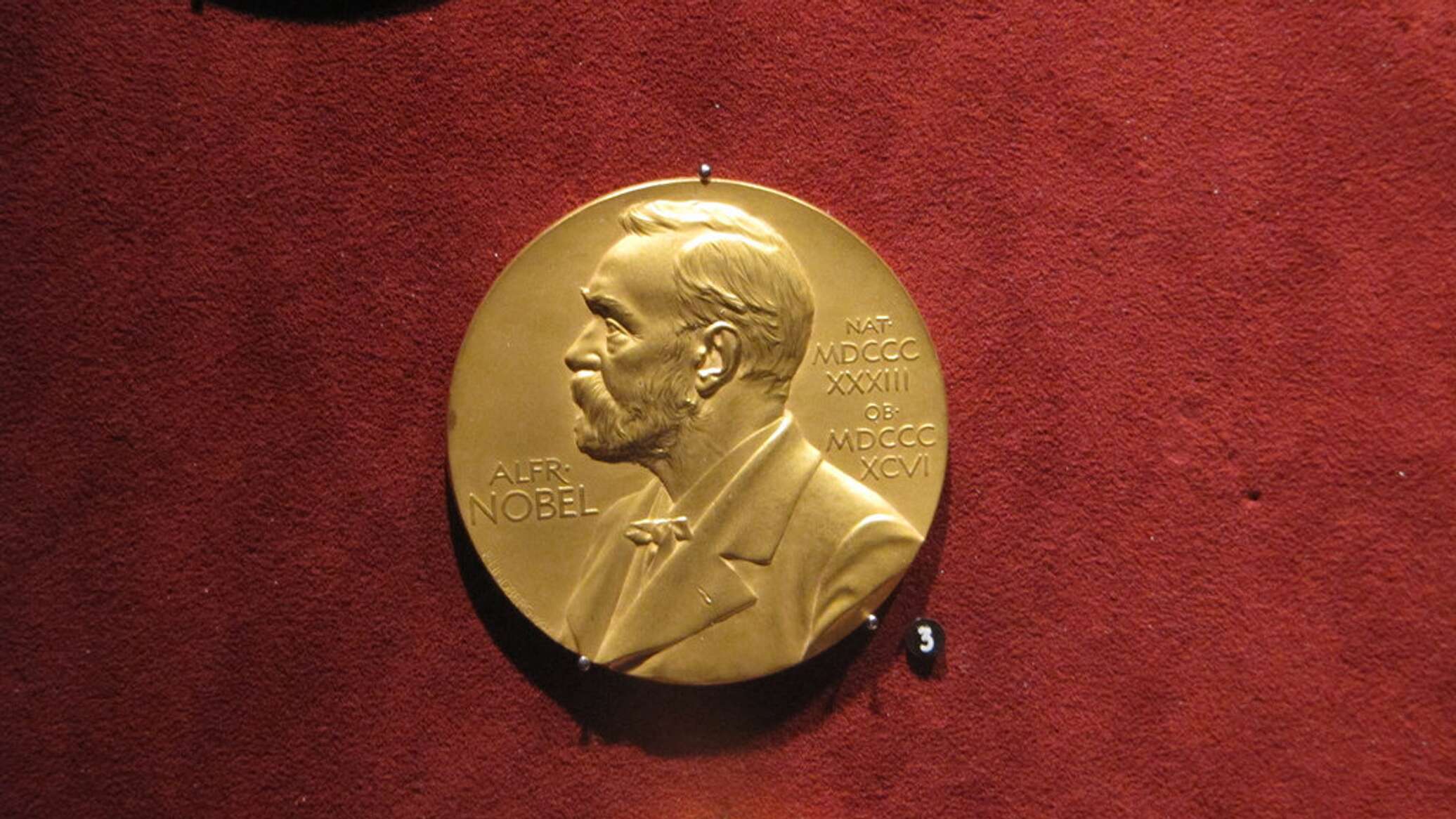 Надежды Трампа не оправдались: премия мира — у политика из Венесуэлы Надежды Трампа не оправдались: премия мира — у политика из Венесуэлы