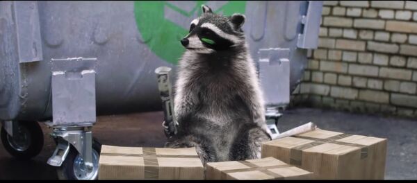 Відэафакт: яноты паказалі, як трэба перабіраць смецце - Sputnik Беларусь