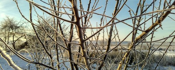 Зіма ў садзе - Sputnik Беларусь