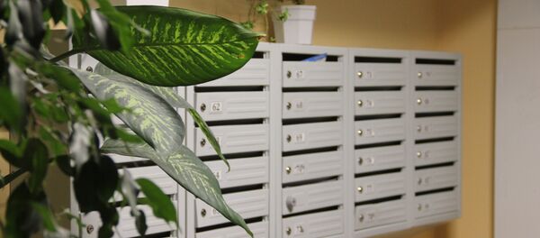 Почтовые ящики в подъезде многоквартирного дома в Минске - Sputnik Беларусь