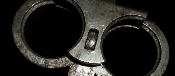 Стволы охотничьего ружья - Sputnik Беларусь