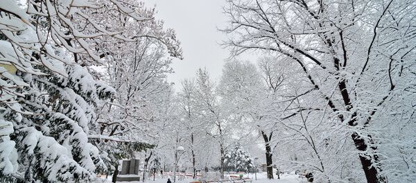 Зимний парк, архивное фото - Sputnik Беларусь