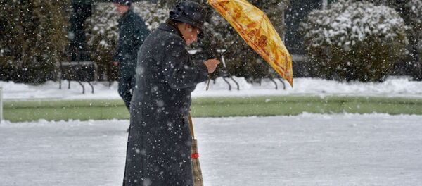 Пенсионерка в Минске - Sputnik Беларусь