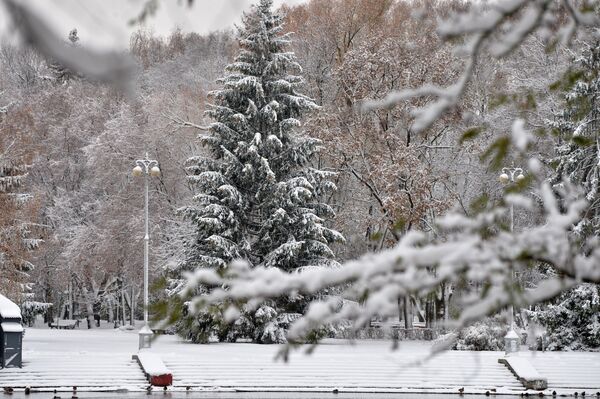 Парк Горького зимой Парк Горького зимой - Sputnik Беларусь