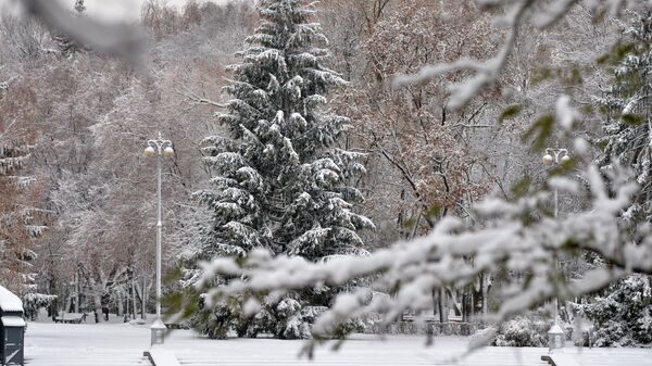 Парк Горького зимой, архивное фото - Sputnik Беларусь