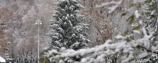 Парк Горького зимой, архивное фото Парк Горького зимой, архивное фото - Sputnik Беларусь