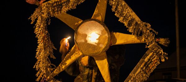 Багданоўскі буклей або зорка з конікамі - Sputnik Беларусь