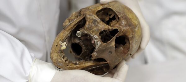 Череп доктора Менгеле Череп доктора Менгеле - Sputnik Беларусь