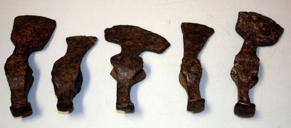 Найденные таможенниками топоры - Sputnik Беларусь