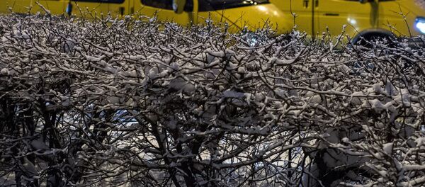 Повседневная жизнь - Sputnik Беларусь