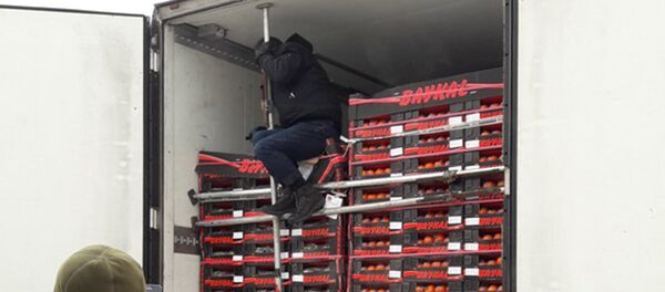 Нелегал в фуре - Sputnik Беларусь