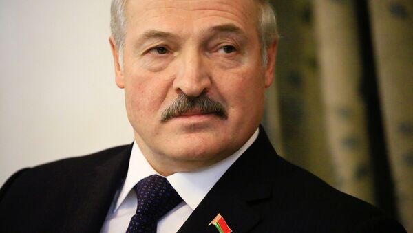 Александр Лукашенко во время визита в Судан - Sputnik Беларусь