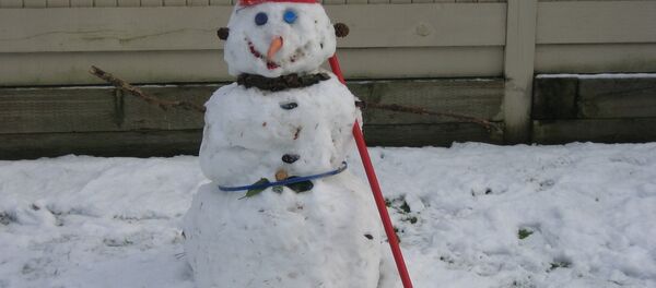 Снеговик - Sputnik Беларусь