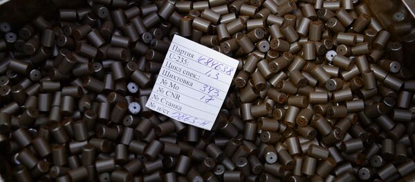 Новосибирский завод химических концентратов - Sputnik Беларусь