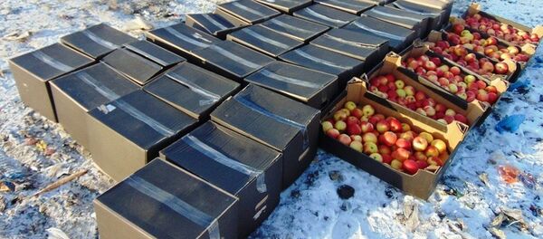 Яблоки из Польши готовят к уничтожению - Sputnik Беларусь