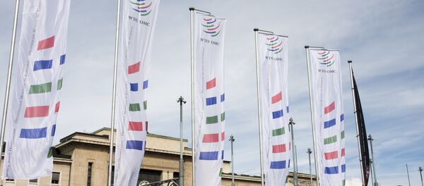 Флаг ВТО - Sputnik Беларусь