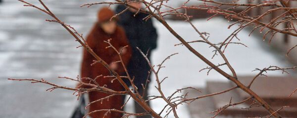 Пенсіянеры ў парку Пенсіянеры ў парку - Sputnik Беларусь