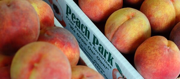 Персики Персики - Sputnik Беларусь