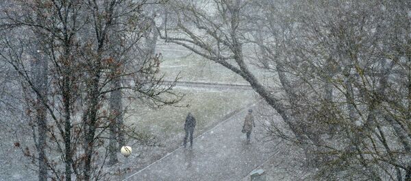 Парк Минска зимой - Sputnik Беларусь