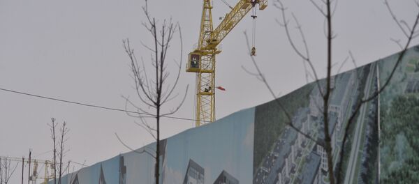 Минчанка в знак протеста забралась на башенный кран в поселке Лебяжий под Минском - Sputnik Беларусь