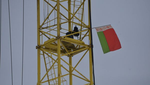 Минчанка в знак протеста забралась на башенный кран в поселке Лебяжий под Минском - Sputnik Беларусь