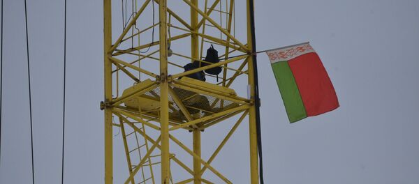 Минчанка в знак протеста забралась на башенный кран в поселке Лебяжий под Минском - Sputnik Беларусь