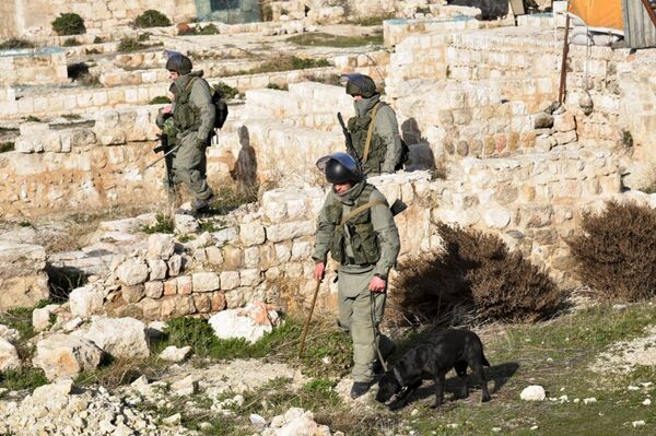 Разминирование российскими инженерами исторической Цитадели древней крепости Алеппо - Sputnik Беларусь
