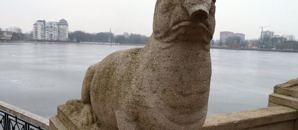 Скульптура морского слона в Калининграде - Sputnik Беларусь